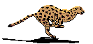 der eigentliche Free-Pascal-Compiler