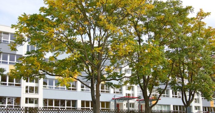 Staatliches Gymnasium „Erasmus Reinhold“ in Saalfeld